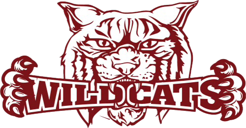 Town Gear Essentials: Giving Back to the Community with Wildcats Pride